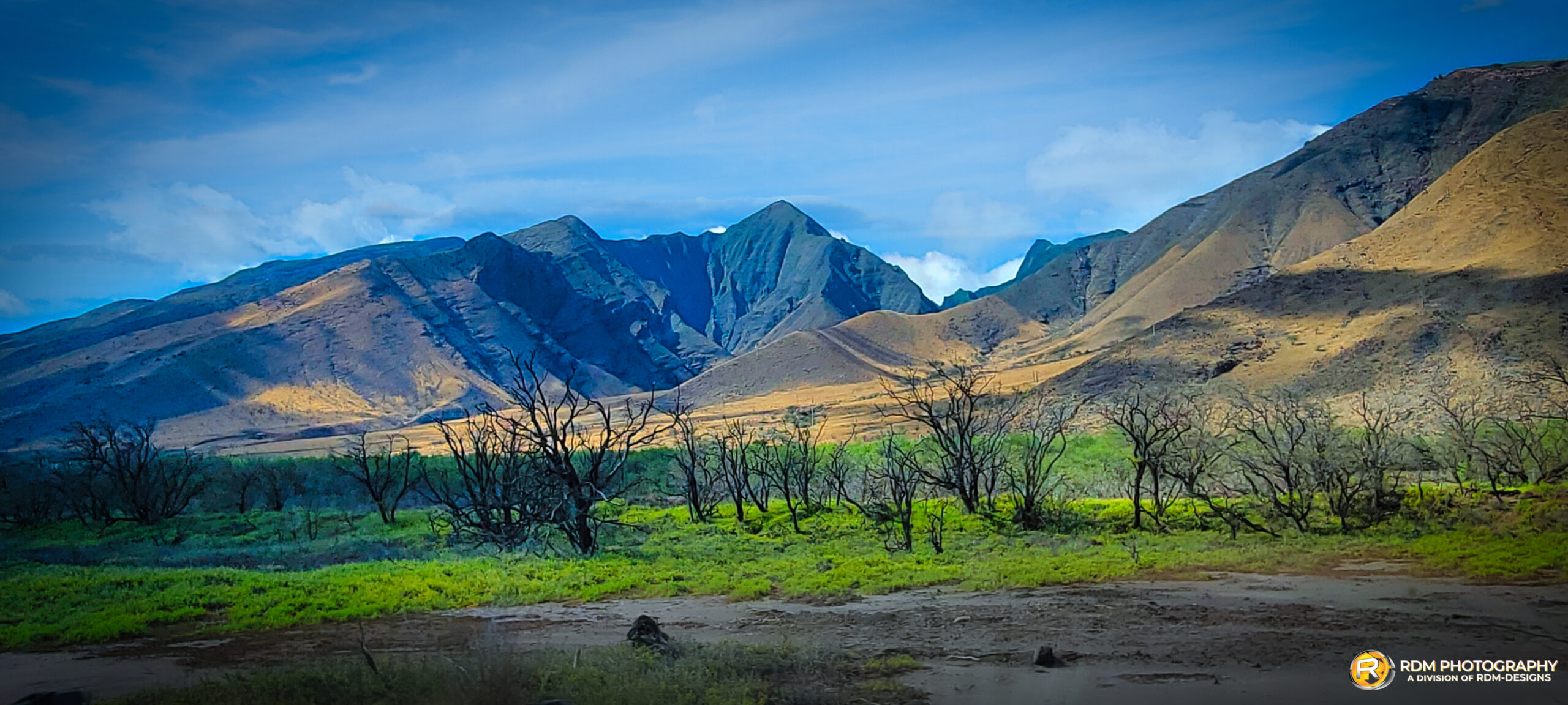 Hawaii — fine art landscape photography by RDM Designs