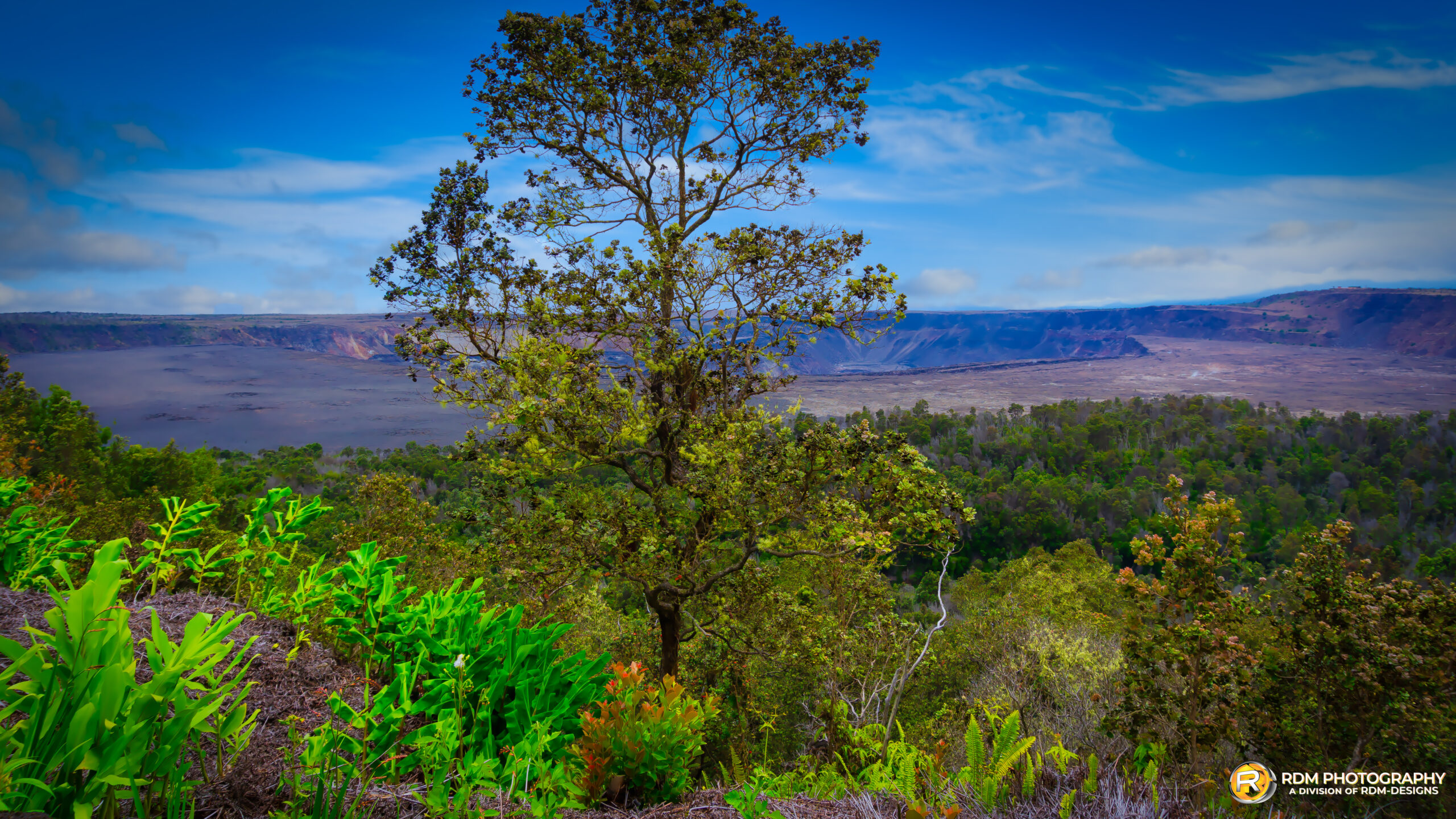 Hawaii — fine art landscape photography by RDM Designs